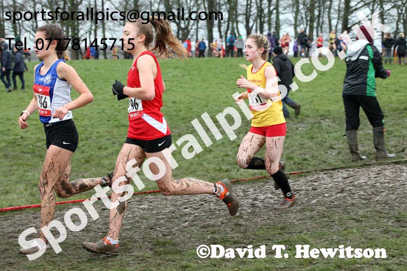Senior girls 2019 New Balance English Schools Cross Country Champs, Temple Newsam, Leeds. Photo:  David T. Hewitson/Sports for All Pics